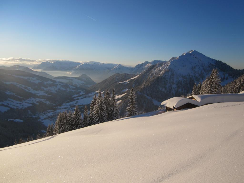 Apartment Acker Alpbach Bagian luar foto