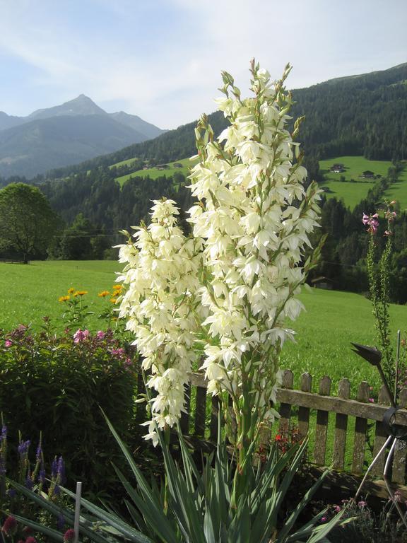 Apartment Acker Alpbach Bagian luar foto